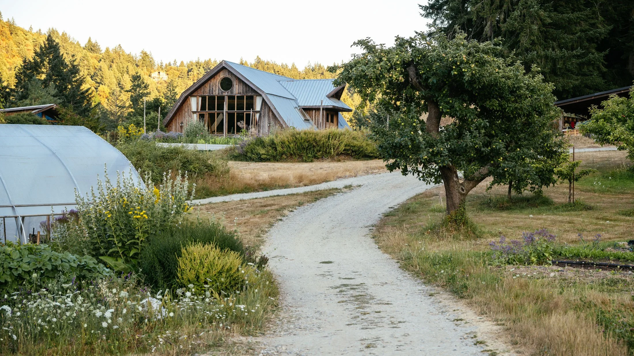 Meals shaped around your gathering at Santé Mountain Retreat