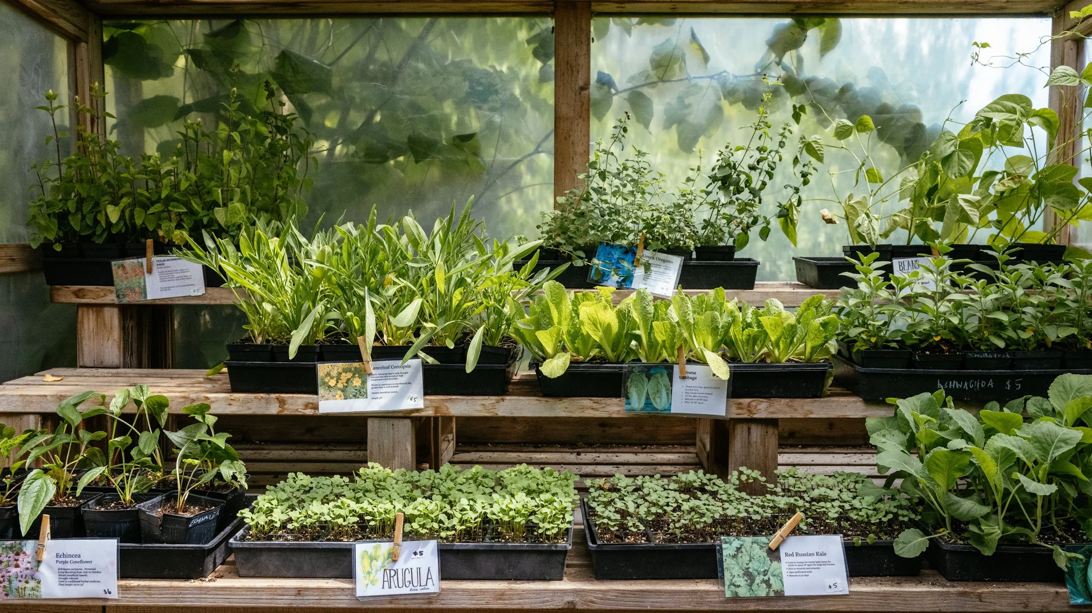 Food with a living connection at Santé Mountain Retreat